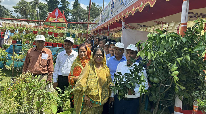 নাটোরে ৮৫ হাজার চারা রোপণ করবে বন বিভাগ